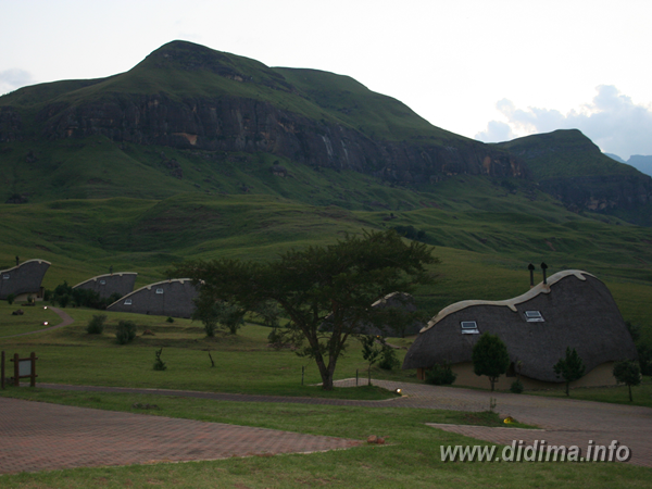 didima camp accommodation4.png